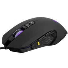 Oyun siçanı 2E MG310